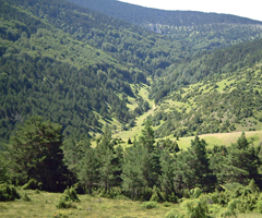 Medio Ambiente apoya con 280.000 euros las obras de mejora de los recursos naturales de la Reserva Regional de Caza